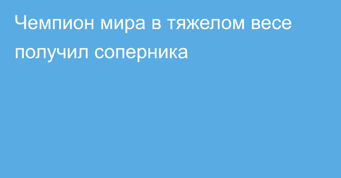 Чемпион мира в тяжелом весе получил соперника